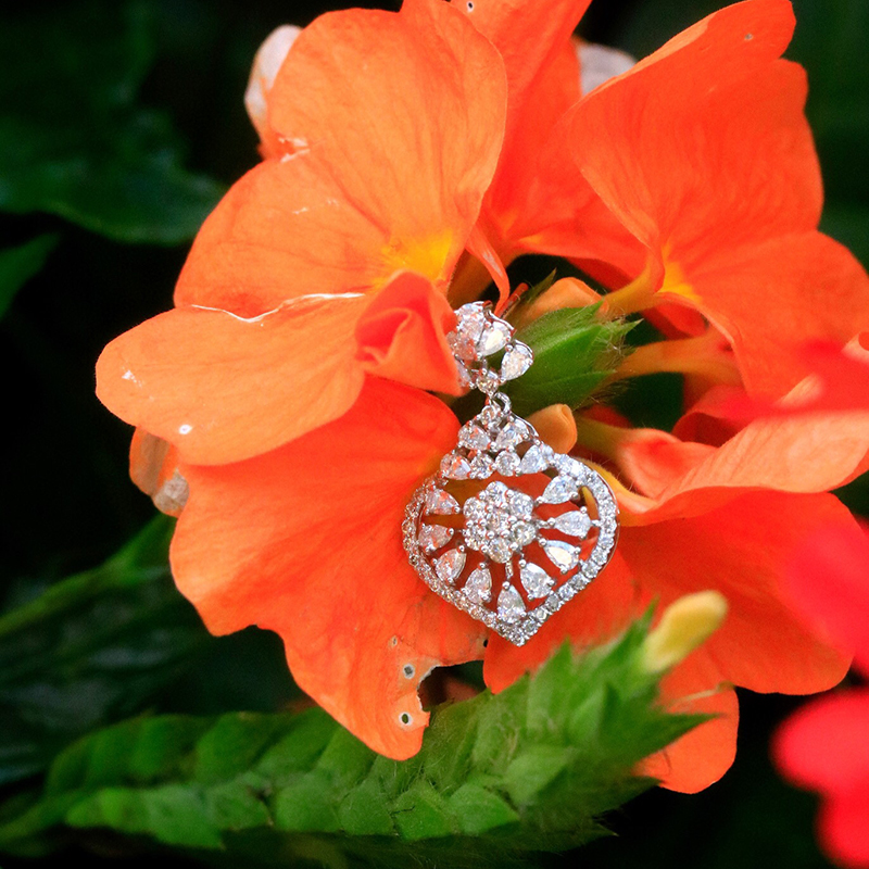 Aazuo 18K massief witgoud echt - Diamond Stud Earrings recensie en prijs